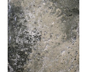 Art Stone (Арт Стоун) натуральне вапняне покриття